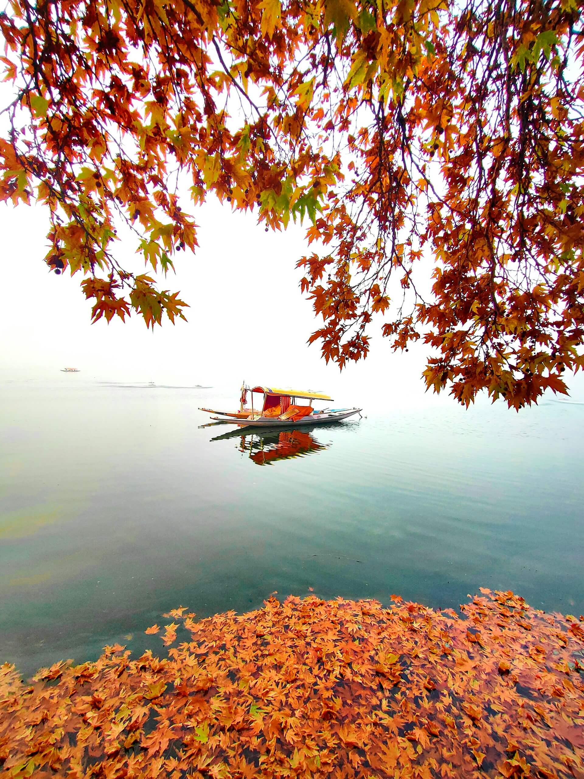 Dal lake